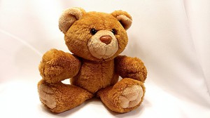 bear-678607_1280